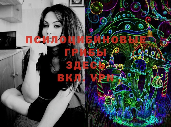 дмт Алзамай