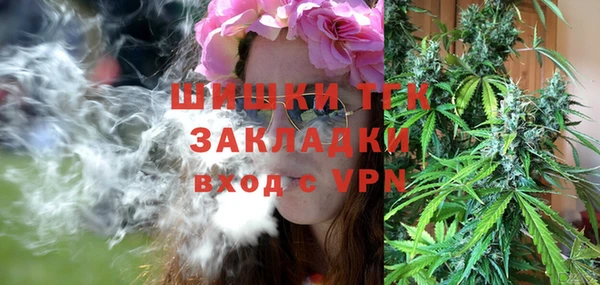 дмт Алзамай
