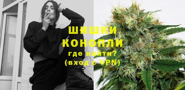 дмт Алзамай