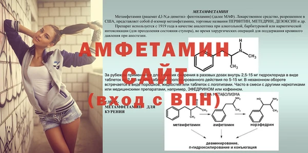 дмт Алзамай