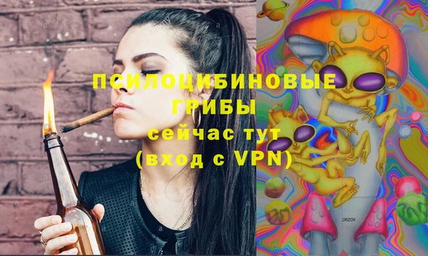 круглые Алексеевка
