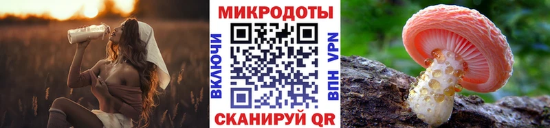 Галлюциногенные грибы Psilocybe  наркошоп  Кореновск 